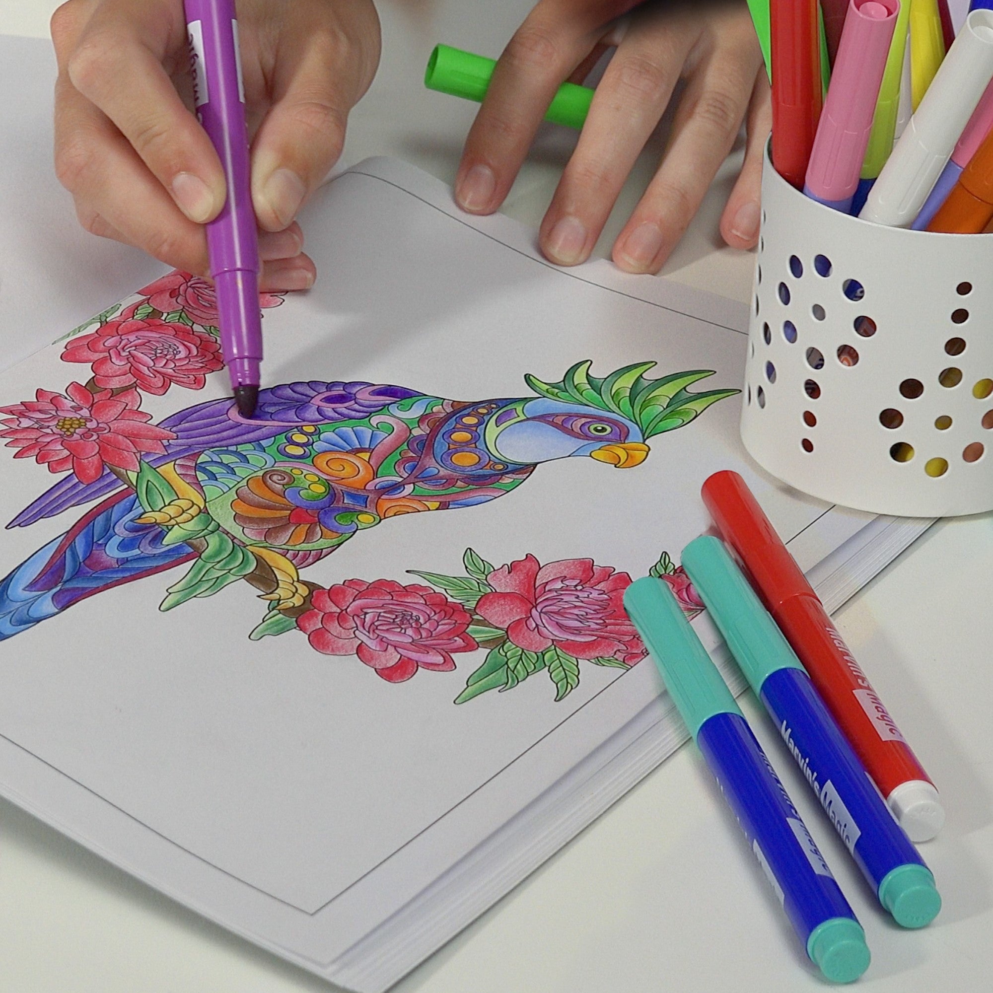 How to draw and coloring book bundle online